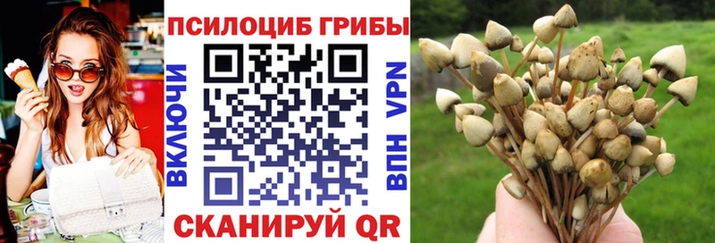 Купить  Вольск  Псилоцибиновые грибы Magic Shrooms 
